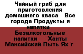 Чайный гриб для приготовления домашнего кваса - Все города Продукты и напитки » Безалкогольные напитки   . Ханты-Мансийский,Пыть-Ях г.